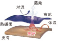 Thermo Coll
